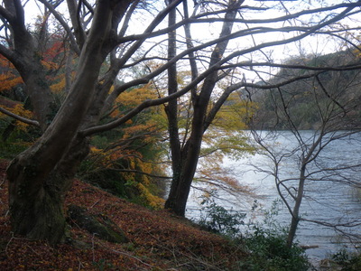 20121208IMGP00075.JPG