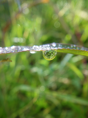 2013001IMGP001.jpg