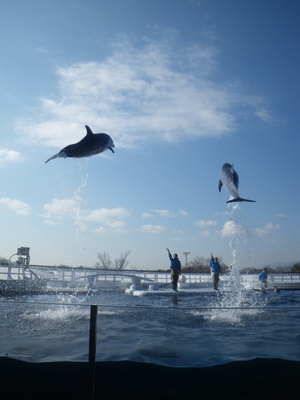 20130210IMGP004010.JPG