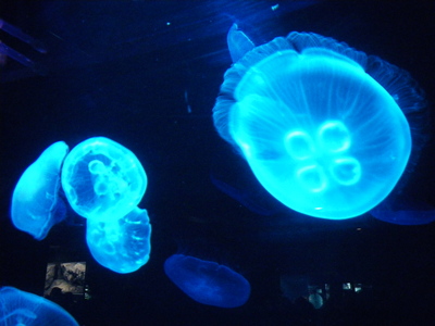20130210IMGP00407.JPG