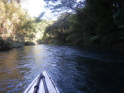 20131013IMGP00417.JPG