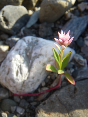 20131013IMGP00420.JPG