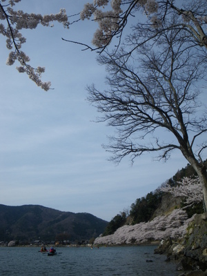 201504115.JPG