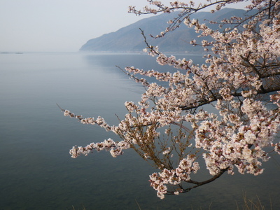 201504121.JPG