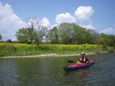 201504182.JPG