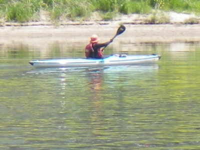 201504184.JPG