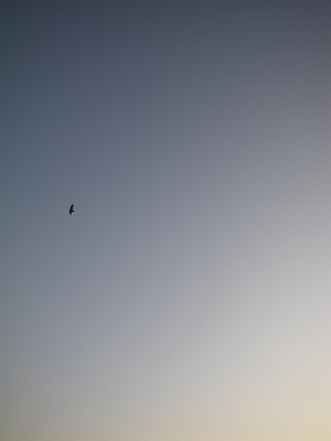 923IMGP0105.jpg