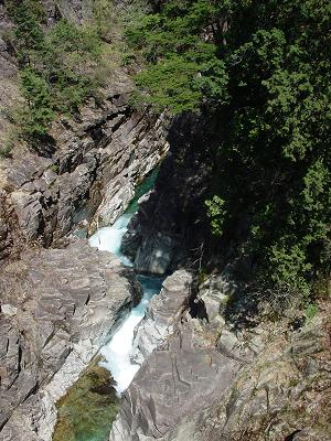 DSC07771.JPG