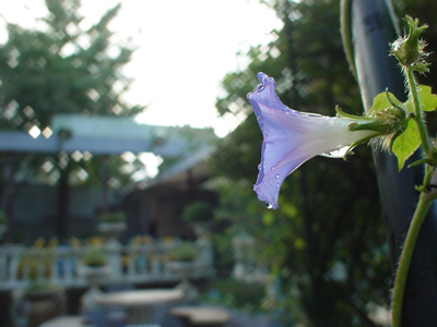 DSC07854.jpg