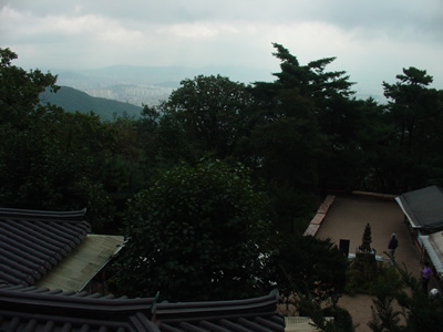DSC07859.jpg