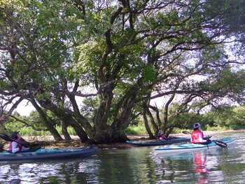IMGA0427.JPG