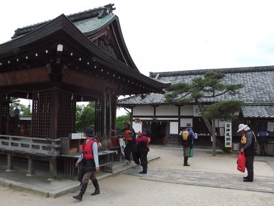 IMGA0562.JPG