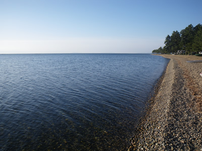 IMGP0004-1.jpg