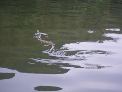 IMGP0019-67.jpg