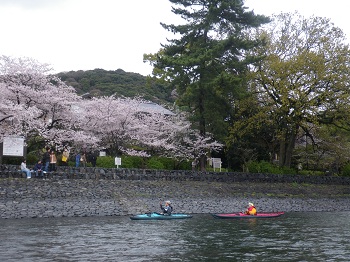 IMGP004.jpg