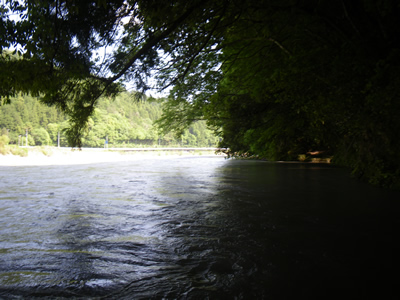IMGP006110.jpg