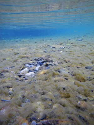 IMGP0069.jpg