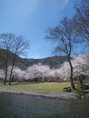 IMGP0082-1.jpg