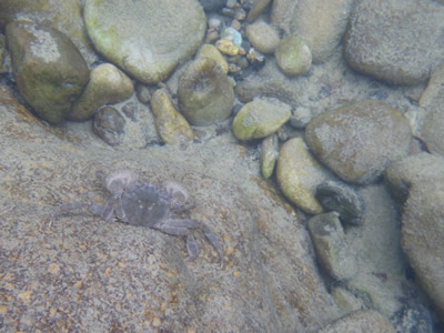 IMGP0095.jpg