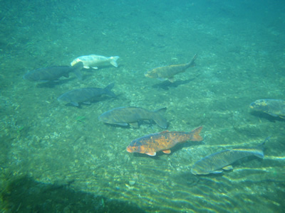 IMGP0128.jpg