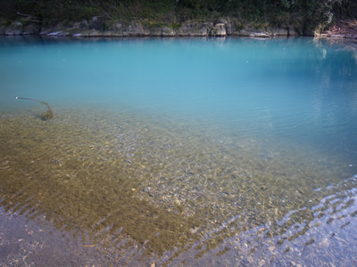 IMGP0146.jpg