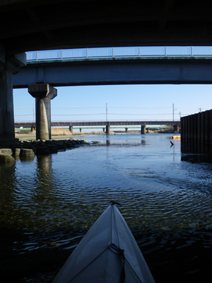 IMGP0165.jpg