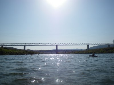 IMGP0168.JPG