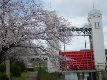 IMGP0189.JPG