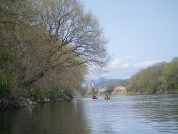 IMGP02119.JPG