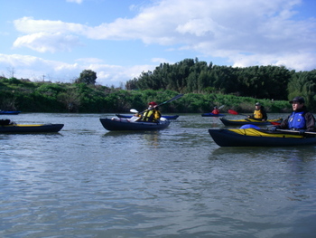 IMGP0229-5.JPG