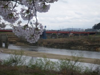IMGP0274.JPG