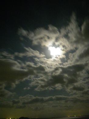 IMGP0303.JPG