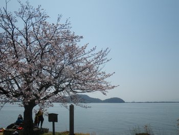 IMGP037412.JPG