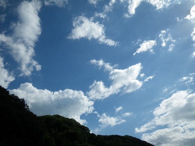 IMGP0616.JPG