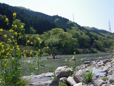 IMGP0617.JPG