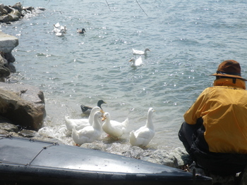 IMGP0655.JPG