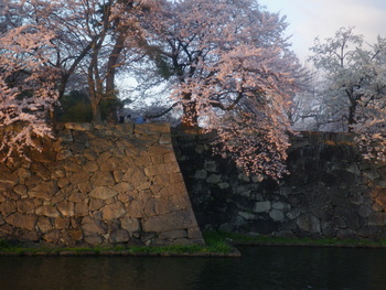 IMGP06841.JPG
