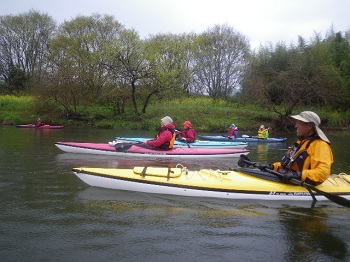 IMGP07.jpg