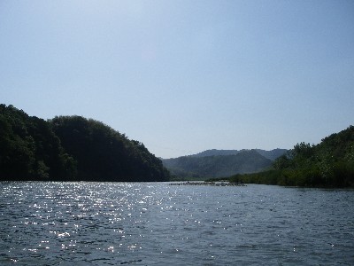IMGP0727.JPG