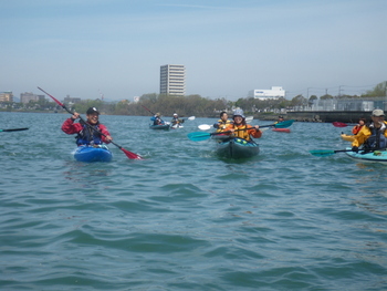 IMGP0761.JPG