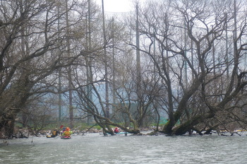 IMGP0817.JPG