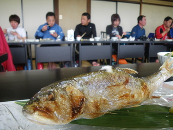 IMGP0874.JPG