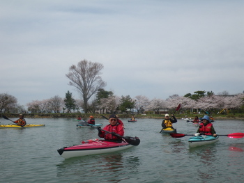 IMGP09041.JPG