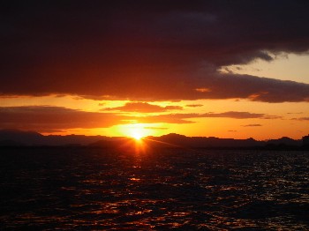 IMGP0977.JPG