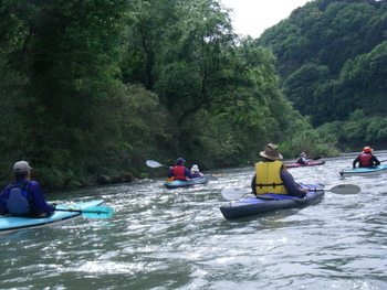 IMGP0981.JPG