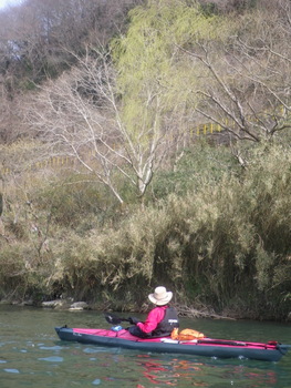 IMGP1103207.JPG