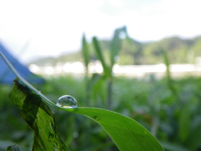IMGP1223.JPG