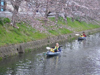 IMGP1448.JPG
