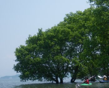 IMGP18001.JPG