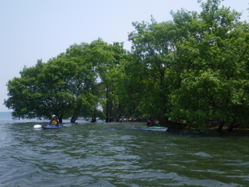 IMGP18011.JPG